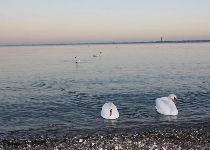 Oeko Sturmmoewe Appartement